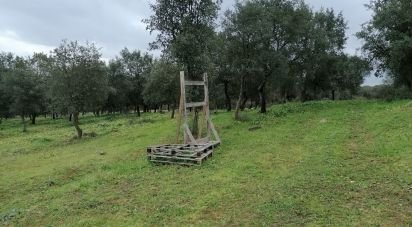 Terrain à Viana do Alentejo de 35 500 m²