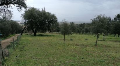 Terrain à Viana do Alentejo de 35 500 m²