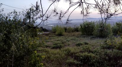 Terrain à Gandra e Taião de 715 m²