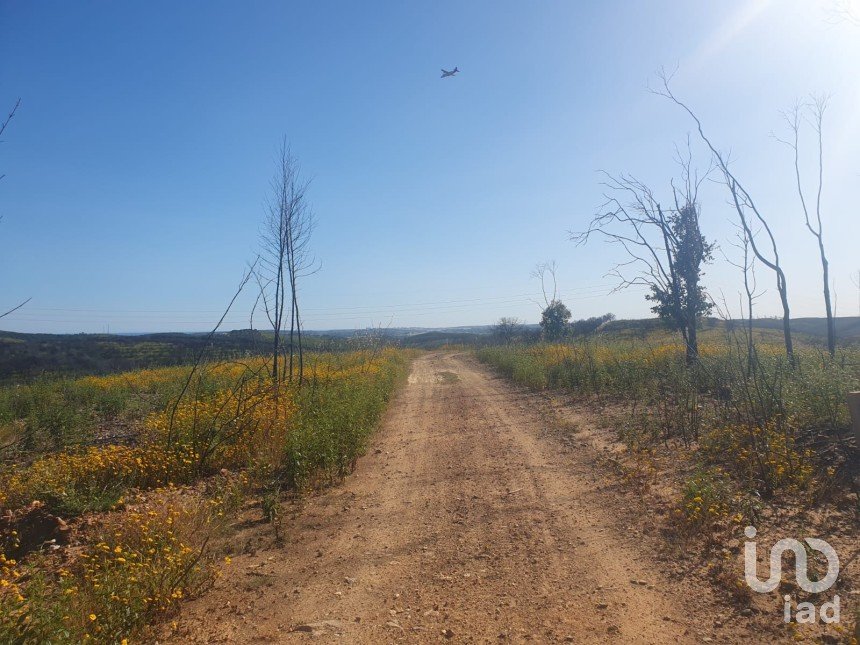 Terrain à Mexilhoeira Grande de 102 750 m²