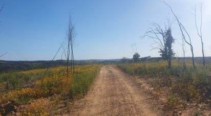 Terrain à Mexilhoeira Grande de 102 750 m²