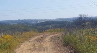 Terrain à Mexilhoeira Grande de 102 750 m²