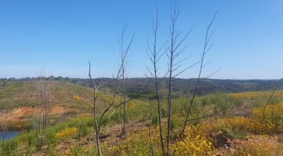 Terrain à Mexilhoeira Grande de 102 750 m²