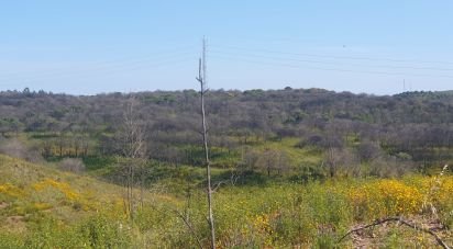 Land in Mexilhoeira Grande of 102,750 m²