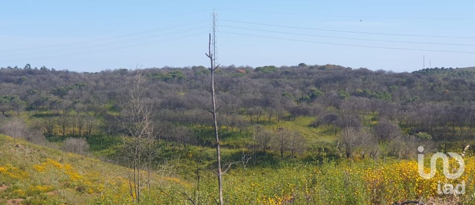 Terrain à Mexilhoeira Grande de 102 750 m²