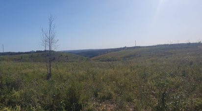 Terrain à Mexilhoeira Grande de 102 750 m²