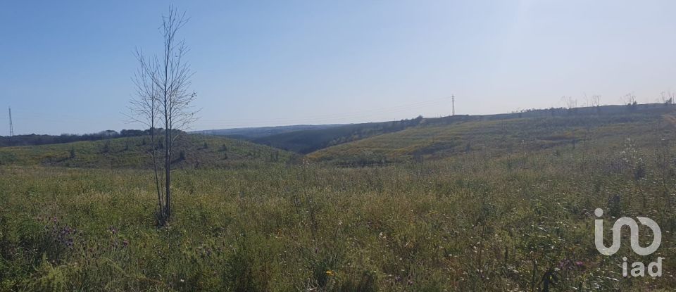 Terrain à Mexilhoeira Grande de 102 750 m²