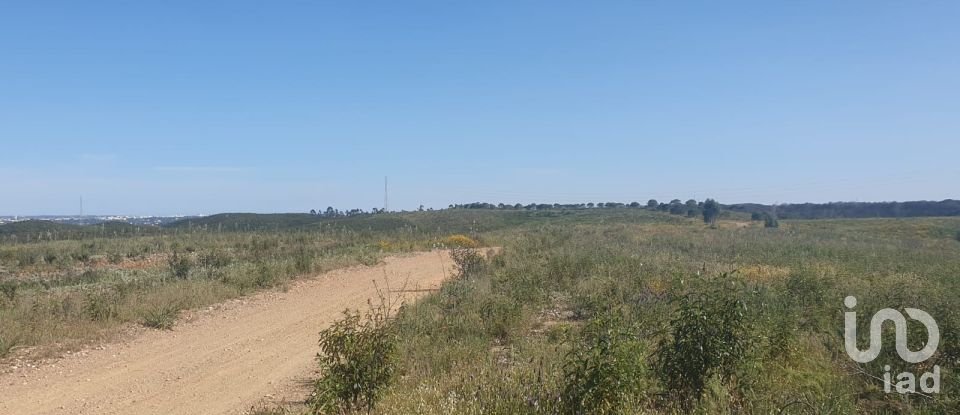 Terrain à Mexilhoeira Grande de 102 750 m²