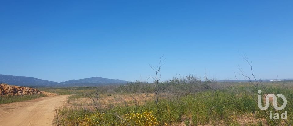 Terrain à Mexilhoeira Grande de 102 750 m²