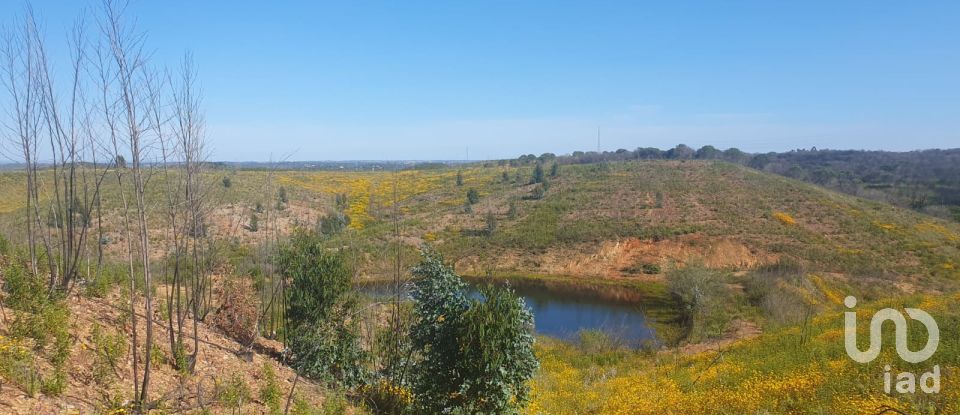 Terrain à Mexilhoeira Grande de 102 750 m²