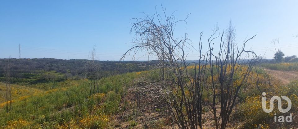 Terrain à Mexilhoeira Grande de 102 750 m²