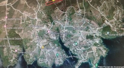 Terrain à São Pedro de Tomar de 9 680 m²