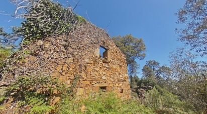 Maison T0 à Alvares de 94 m²