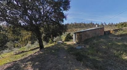 Terrain à Troviscal de 6 715 m²