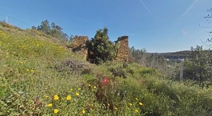 Terrain à Troviscal de 6 715 m²