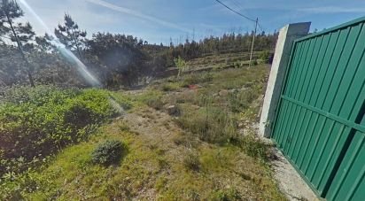 Terrain à Troviscal de 6 715 m²