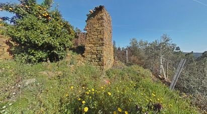 Terrain à Troviscal de 6 715 m²