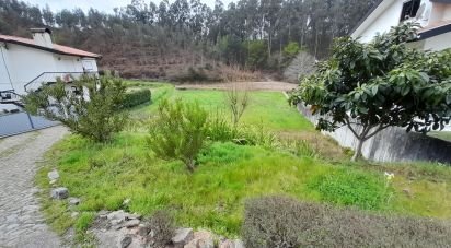 Terrain à Oliveira De Azeméis, Santiago De Riba-Ul, Ul, Macinhata Da Seixa E Madail de 990 m²