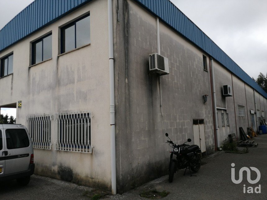 Murs commerciaux à Arega de 480 m²