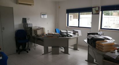 Murs commerciaux à Arega de 480 m²