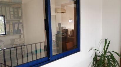 Murs commerciaux à Arega de 480 m²