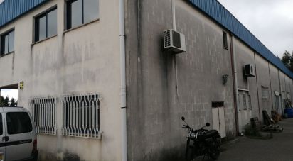 Commercial walls in Arega of 480 m²