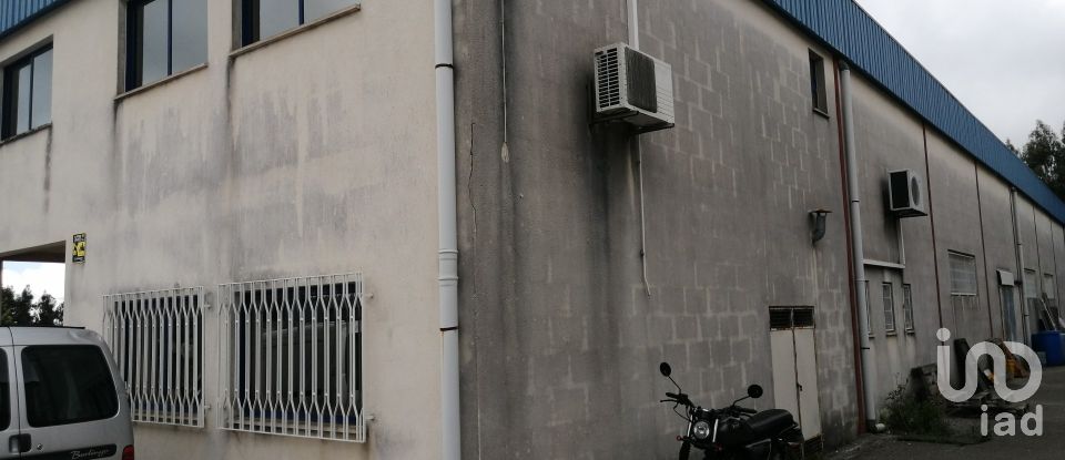 Murs commerciaux à Arega de 480 m²