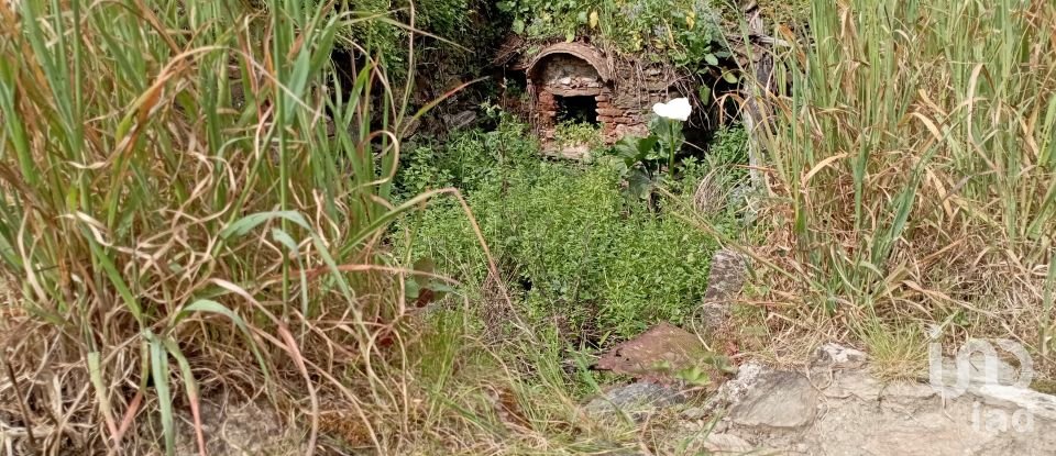 Village house T2 in Serra e Junceira of 128 m²