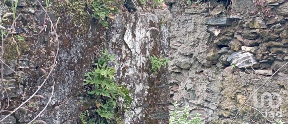 Village house T2 in Serra e Junceira of 128 m²