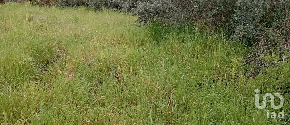 Village house T2 in Serra e Junceira of 128 m²