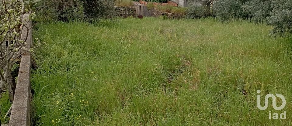 Village house T2 in Serra e Junceira of 128 m²