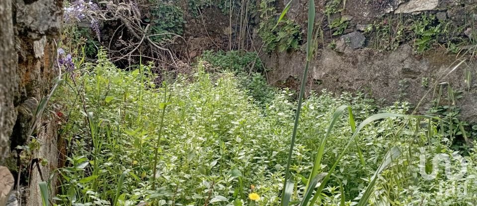 Village house T2 in Serra e Junceira of 128 m²