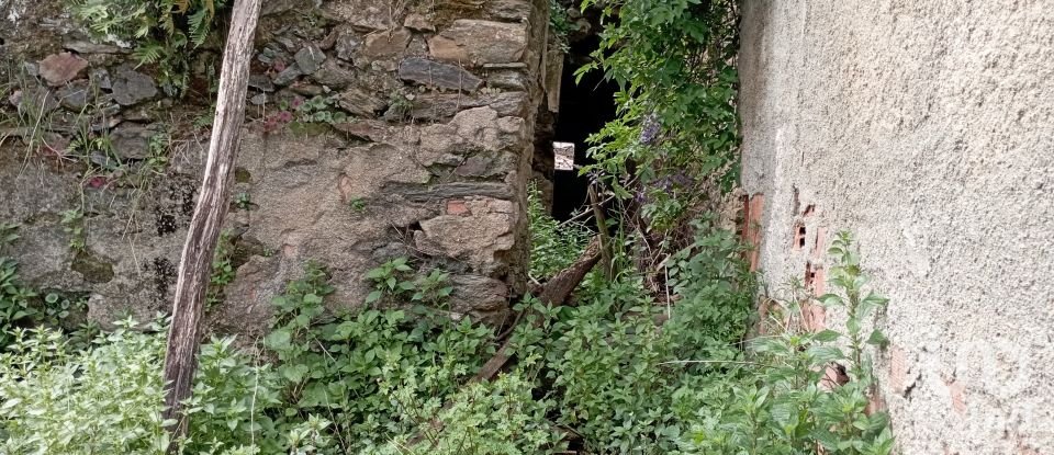 Village house T2 in Serra e Junceira of 128 m²