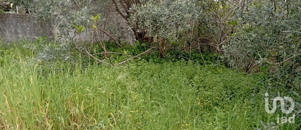 Village house T2 in Serra e Junceira of 128 m²