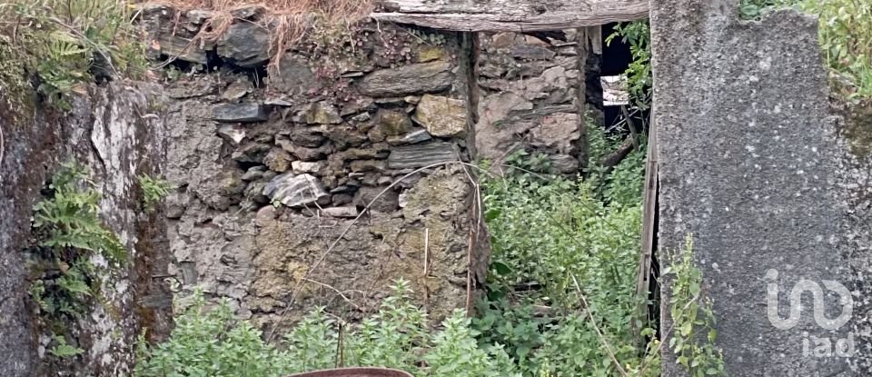 Village house T2 in Serra e Junceira of 128 m²