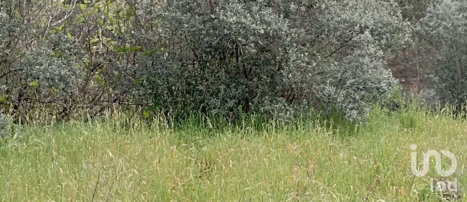 Village house T2 in Serra e Junceira of 128 m²