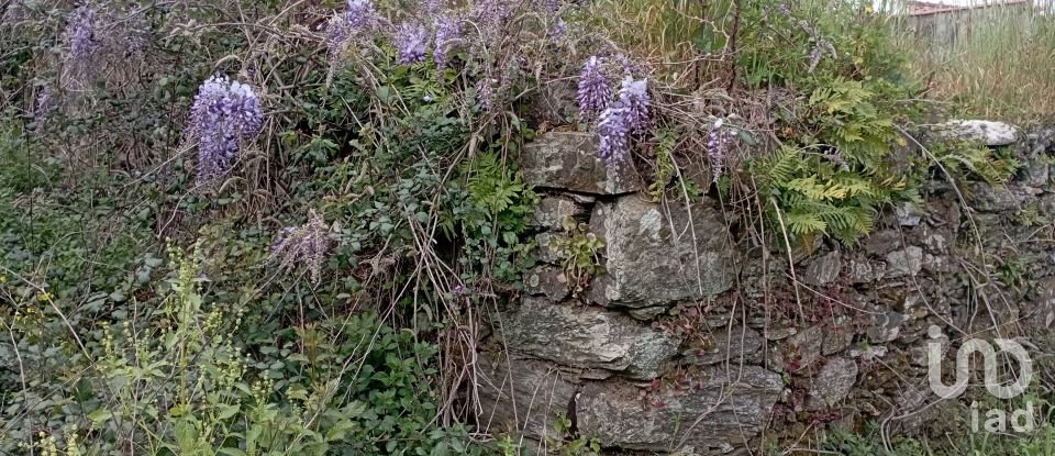 Village house T2 in Serra e Junceira of 128 m²