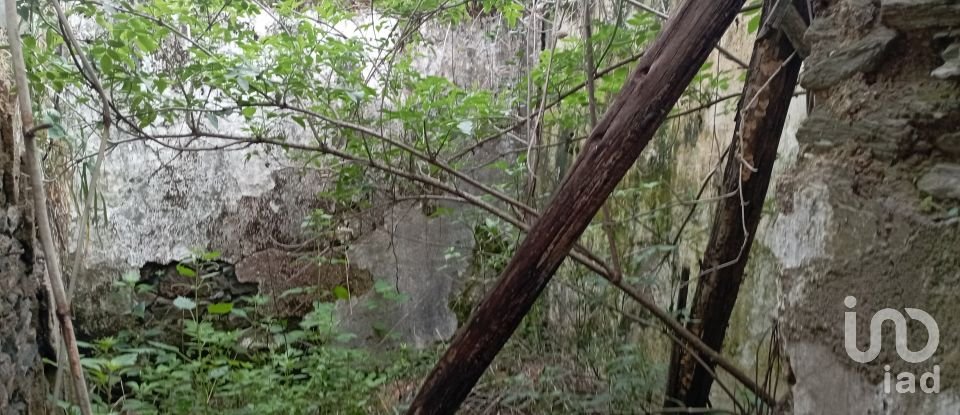 Village house T2 in Serra e Junceira of 128 m²