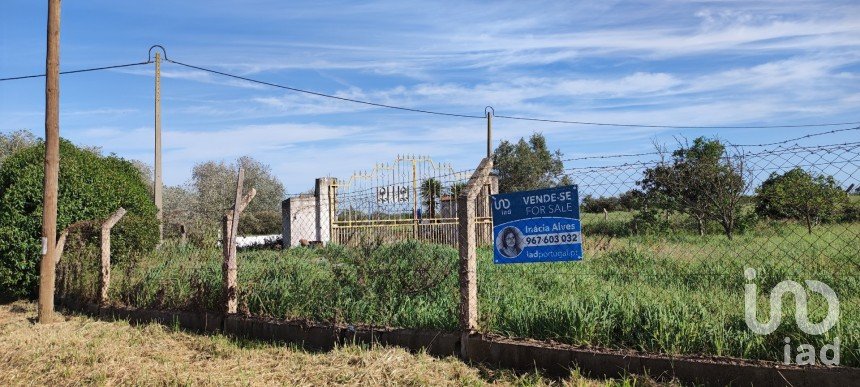 Terreno em Cuba de 2 500 m²