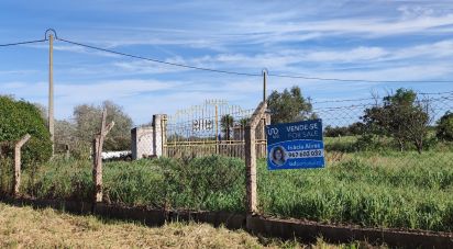 Terrain à Cuba de 2 500 m²