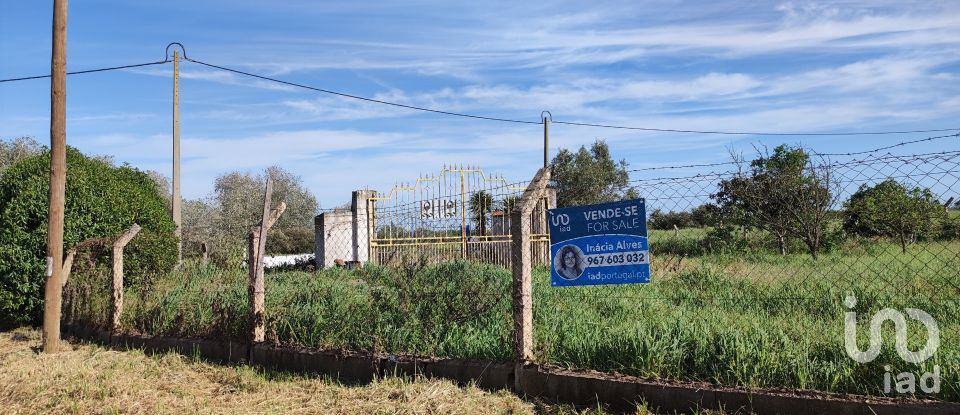 Terreno em Cuba de 2 500 m²