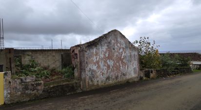 Maison T0 à Vila de São Sebastião de 301 m²