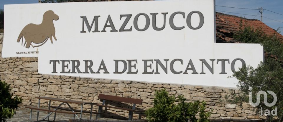 Land in Freixo de Espada à Cinta e Mazouco of 9,800 m²