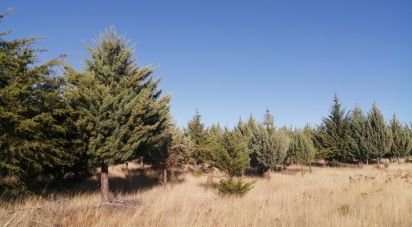 Agricultural land in Penas Roias of 43,968 m²