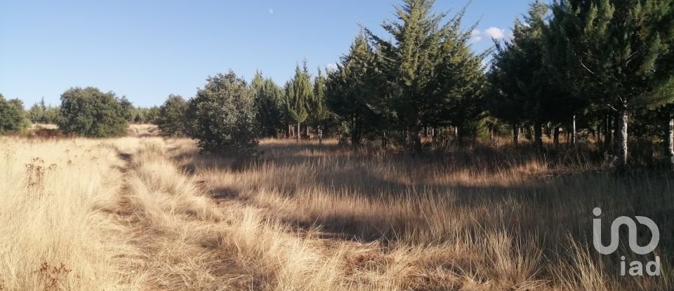 Agricultural land in Penas Roias of 43,968 m²