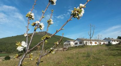 Ferme T4 à Felgar e Souto da Velha de 120 m²