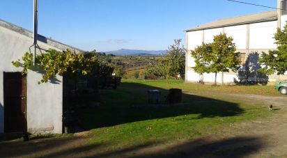 Ferme T4 à Felgar e Souto da Velha de 120 m²