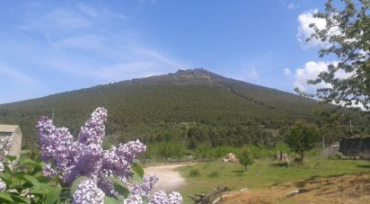 Ferme T4 à Felgar e Souto da Velha de 120 m²