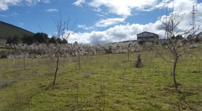 Ferme T4 à Felgar e Souto da Velha de 120 m²