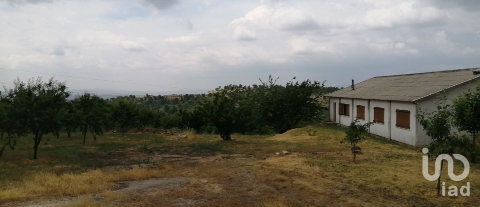 Farm T4 in Felgar e Souto da Velha of 120 m²